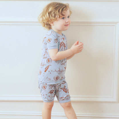 Dinosaur Museum
